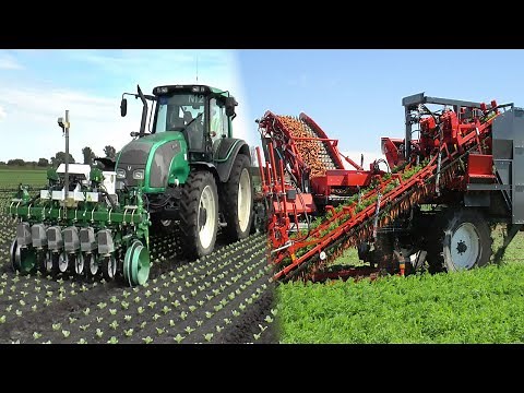 This Modern FARMING INNOVATION In China Shocks The World