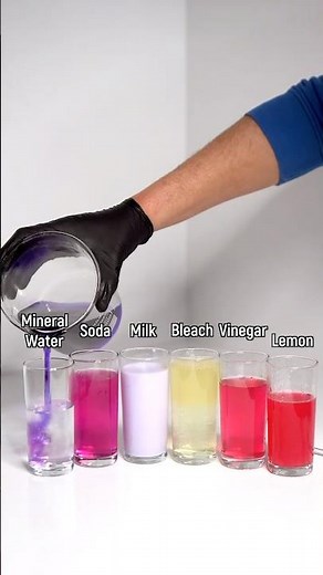 The Chemistry of Red Cabbage 🥬⚛️