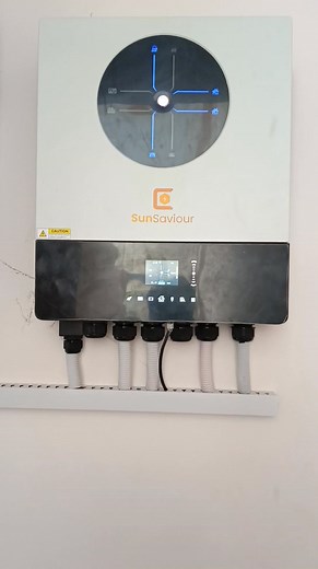 BMS connectivity explained... #solarizemrz #soalrize #sunsaviour | Solarize