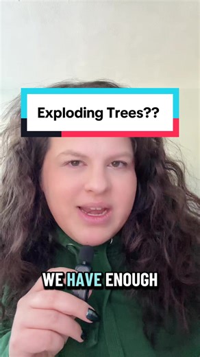Exploding Trees During Minnesota Cold Snap