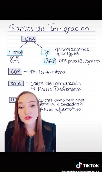 Proceso y programas de inmigración: Guía completa