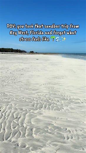 Experience Bliss on a Key West Sandbar Trip