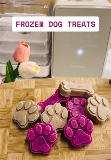 Pup tested, paw-approved! 🐾 Banana PB or dragon fruit? Tell me your fave! 💬❄️ #dogicecream #dogtreatrecipe #summerdogsnacks #petlover #pets #dogtreats #icecream #frozendogtreat #dogtreats #DIYdogtreats #dogicecream #petfoodhacks #peanutbutter #pawparents
