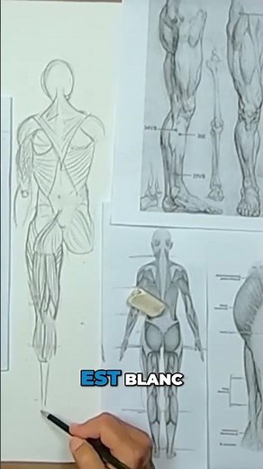 Comprendre le tendon d'Achille et les mollets