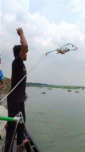Deep River Monster Rig! ⚙️ Testing a Heavy Mechanical Rope Reel Bait Setup! 🌊🐟 #danialfishing