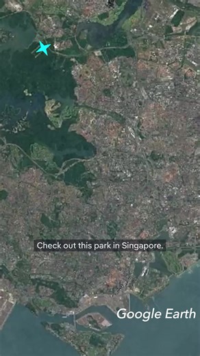 8.8K views · 194 reactions | Cities around the world are adapting to extreme weather events. Here’s how. #planeta | DW Environment | Facebook