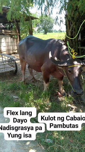 Gener Concepcion on Reels