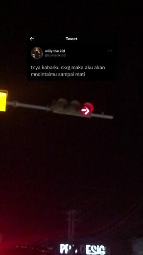 Understanding Adult Perspectives Through Traffic Lights