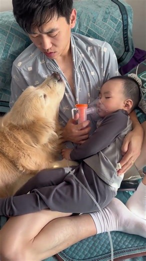 思议比我们还担心呢#萌娃和狗狗的治愈时刻 #抖音萌宠嘉年华 #万物可爱计划 #温馨互动记 #宠物与萌娃