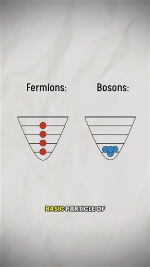 What are Fermions and Bosons?