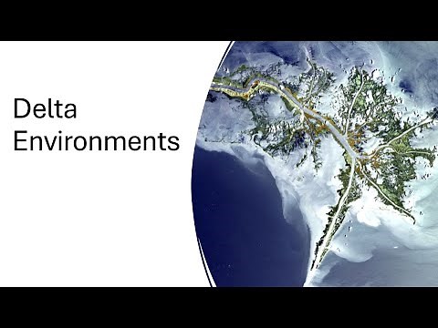 17 - Delta environments