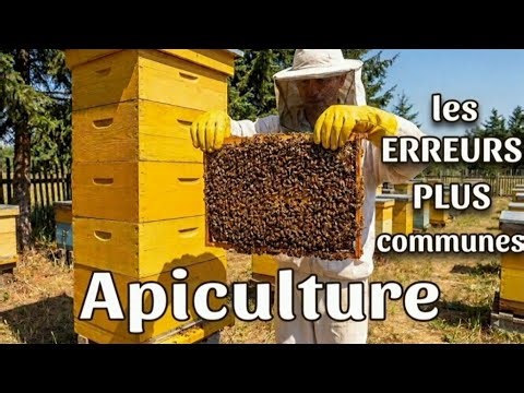 Beekeeping for Beginners: Avoid These 5 Fatal Mistakes