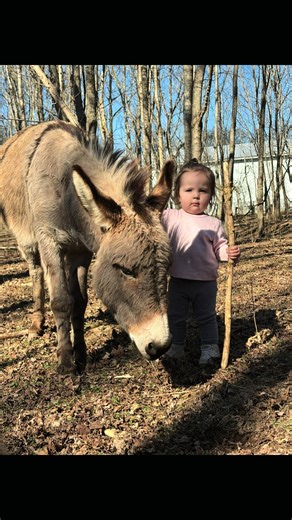 Ruby Mae and Pedro: A Glimpse into Farm Life in Tennessee