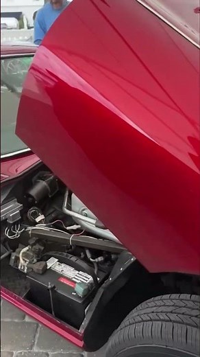 RARE JAGUAR E-TYPE V12!😱