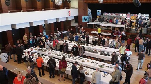 Beskyd Model Kit Show v Kopřivnici. Modely opět ohromí veřejnost