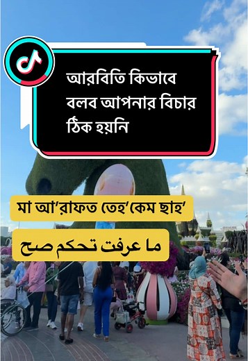 Arabic Language Lessons for Beginners