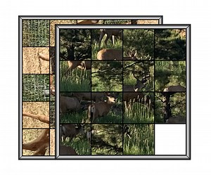 Swiggart's Nature Puzzles v1.5 by GeWaLy Art