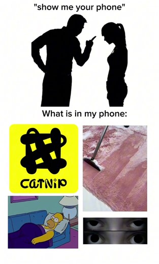 my only close friends know about Catnip AI videos 😍🔥 #catnips #ai #fyp #usa #paradoxaai