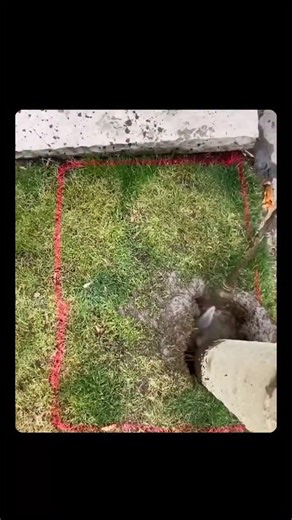 EraScope on Instagram: "Hydro excavation is a modern digging method that uses high-pressure water and a powerful vacuum to break up and remove soil. Instead of heavy mechanical tools that can damage underground pipes or cables, hydro excavation gently cuts through the ground while safely exposing buried utilities. The process is simple but effective. A jet of pressurized water loosens the soil, turning it into a slurry. At the same time, a vacuum hose sucks the mixture into a debris tank. This a