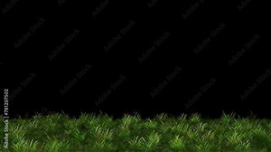 Green grass field and flying fireflies motion graphics with night background