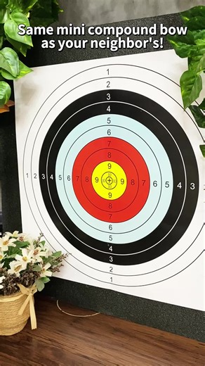 Same mini compound bow as your neighbors #bowandarrow #bowhunter #compoundbow #shooting #outdoor