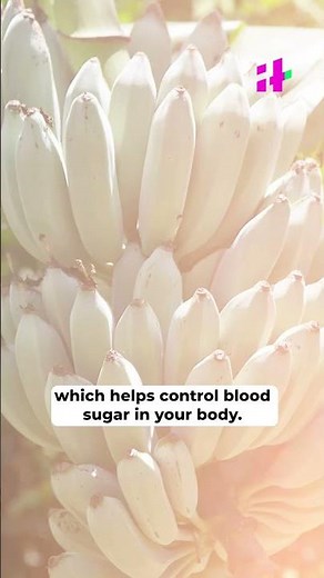 Discover the Magical Blue Bananas That Taste Like Ice Cream and Boost Your Health