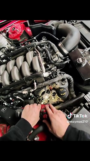 Coyote Tick Inspection on 2018 Mustang GT