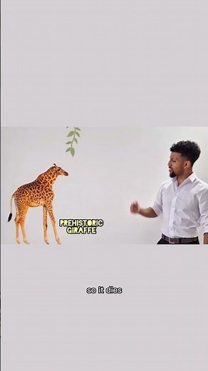 Natural Selection Explained!