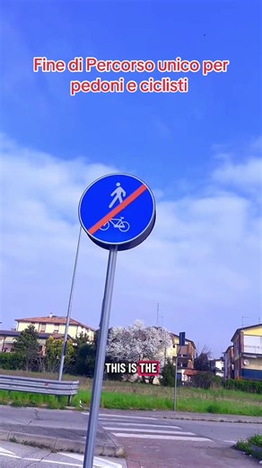 Understanding Mixed Path Endings for Pedestrians and Cyclists