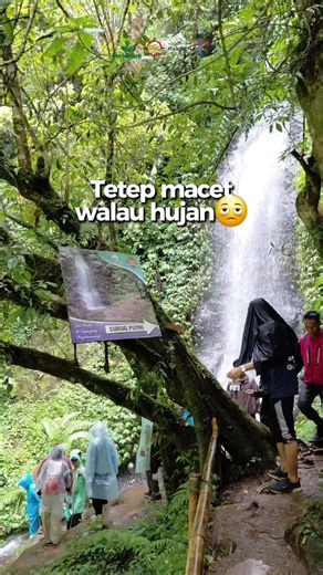 di saat orang-orang reschedule aja buat trekking pas musim ujan, di sisi lain mereka tetep antri buat foto di curug putri😭 📍Wisata Ciwangun Indah Camp Jl. Ciwangun Indah Camp Jl. Kolonel Masturi, RT.03/RW.15, Cihanjuang Rahayu, Kec. Parongpong, Kabupaten Bandung Barat, Jawa Barat 40559 #infobandungbarat #ciwangunindahcamp #explorebandung #pesonabandungbarat #infowisatabandung