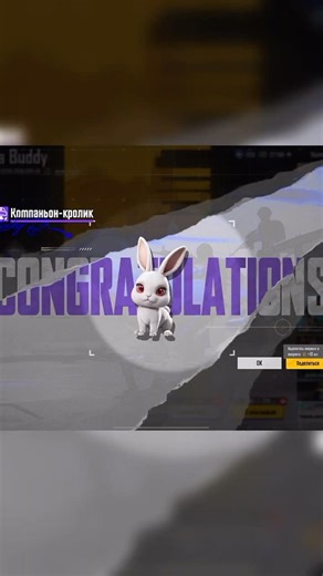 New companion😍 #pubgmobile