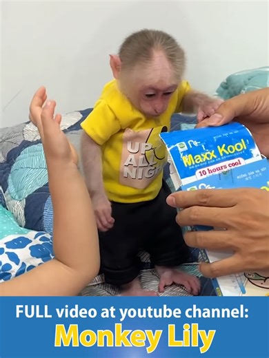 Baby Monkey's Funny Adventures and Farewell Hugs