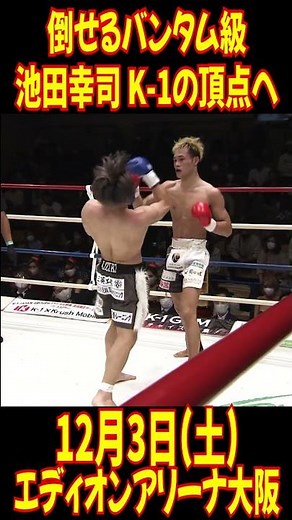 軽くてもKO量産！池田幸司K-1の頂点へ！ #shorts