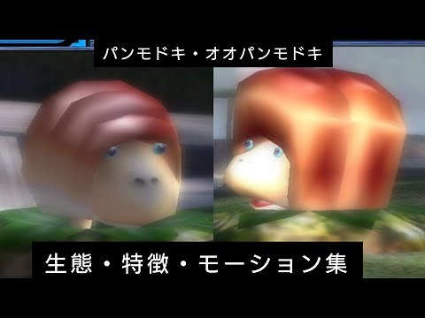 パンモドキ・オオパンモドキの生態 特徴 字幕付き ピクミンシリーズ