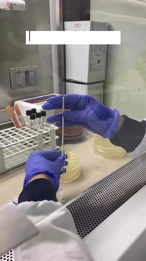 55K views · 2.2K reactions | ✅Antibiograma ✅La interpretación de un...