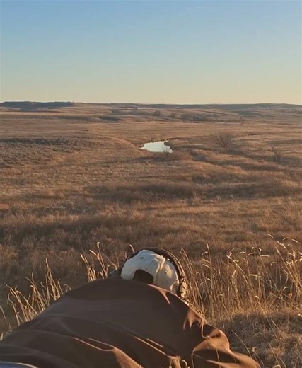 397 yds 8" Wooden Target Diamondback DB10 using 7.62 NATO FMJ (1/4 speed shot to impact)