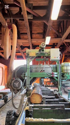 Timelapse of Two Logs Processed in 30 Seconds