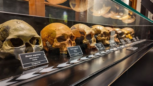 What Exactly Does It Mean To Be A Human Being – And How Did We Decide?