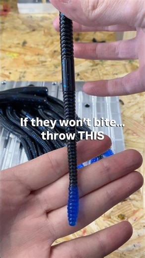 When Bass Won’t Bite… This Worm Changes Everythinf 🎣 🔥