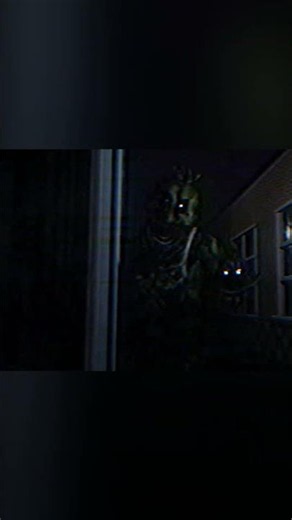 Chica the Chicken | The Nightmare Experiments #fnaf #fnaf4 #fnafvhs