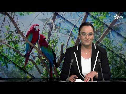 News in French Al Aoula, April 18, 2026