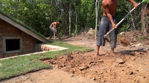 How We Built a Pool and Fish Pond in 25 Days