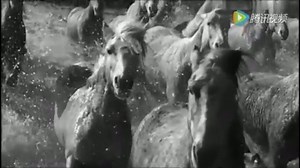 经典爱尔兰民谣——Ride on