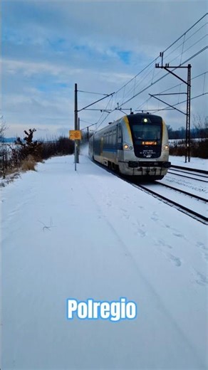 Szynobus Polregio SA137-003 z Kędzierzyna Koźla do Kłodzka Miasta przelotem przez Ławice #pociągi