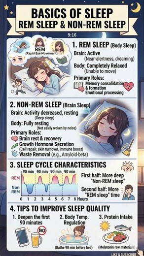 Sleep Science 101: Master REM & Deep Sleep Cycles to Wake Up Refreshed Every Morning!