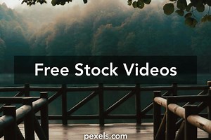 Nature Greenery Videos, Download The BEST Free 4k Stock Video Footage & Nature Greenery HD Video Clips