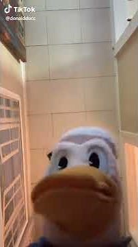 POV: You're a Bug and I Got Scared (A Funny TikTok Video By DonaldDucc)