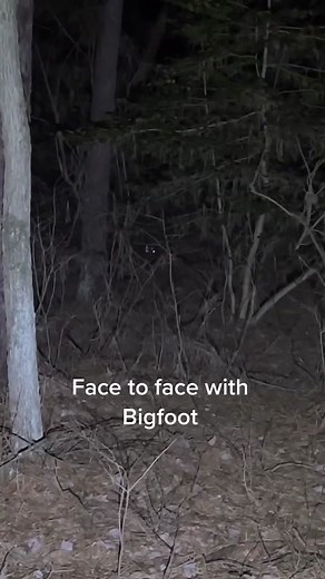 Terrifying Encounter with Sasquatch | Real Footage Revealed