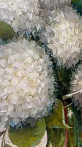 3K reactions · 183 shares | "First Impressions” -70x 70 cm...