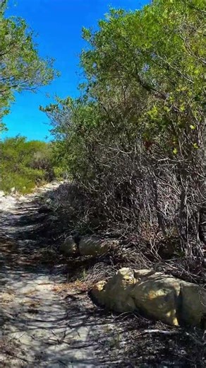 Hidden gems❤️😜😎